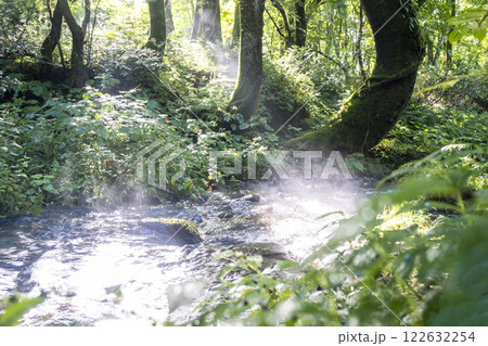 森の清流に光芒が差し込む風景 大山木谷沢渓流 森の清流に光芒が差し込む風景 大山木谷沢渓流 122632254