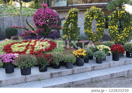 花壇に植えられた色とりどりのパンジー 花壇に植えられた色とりどりのパンジー 122633250
