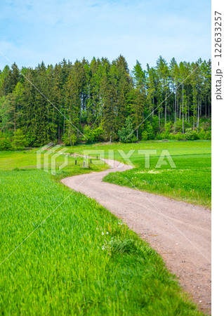 A serene rural country road meanders through lush green fields and is bordered by trees. The peaceful landscape invites exploration and a connection with nature under a clear blue sky. A serene rural country road meanders through lush green fields and is bordered by trees. The peaceful landscape invites exploration and a connection with nature under a clear blue sky. 122633257