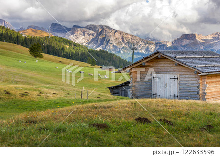 Dolomites Alpe di Siusi, Italy landscape, autumn 122633596