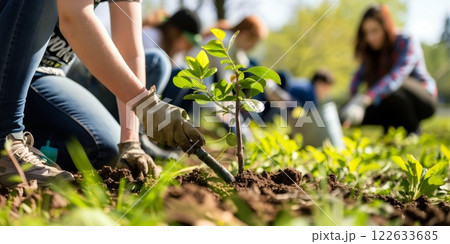 Volunteers planting saplings in a sunny park, wearing gloves and working together to promote reforestation and environmental conservation 122633685