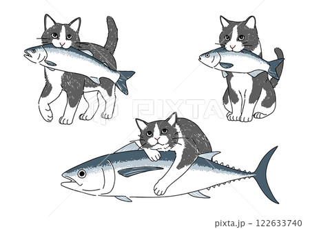 魚と猫の手書きイラストセット 122633740