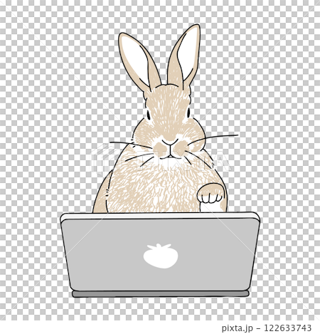 PCを操作するうさぎの手書きイラスト 122633743