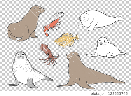 Hand-drawn illustration set of sea lions, seals and seafood Hand-drawn illustration set of sea lions, seals and seafood 122633746