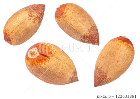 Avocado brown pit isolated on white background, Bone from the avocado 122633861