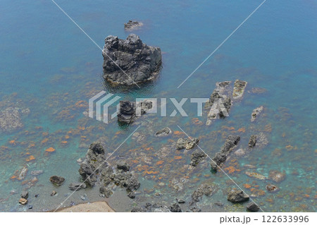 坂本台 坂本台 122633996