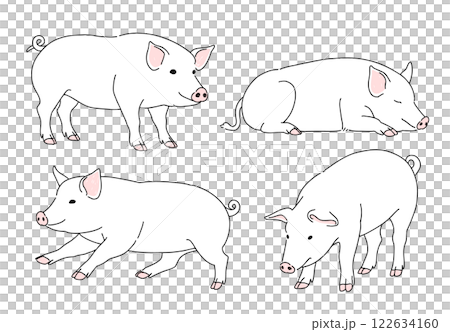 各種姿勢的豬的手繪插圖 122634160