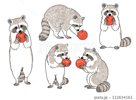 りんごを食べているアライグマの手書きイラストセット りんごを食べているアライグマの手書きイラストセット 122634161