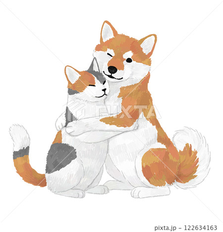 抱き合う柴犬と三毛猫の手書きイラスト 122634163