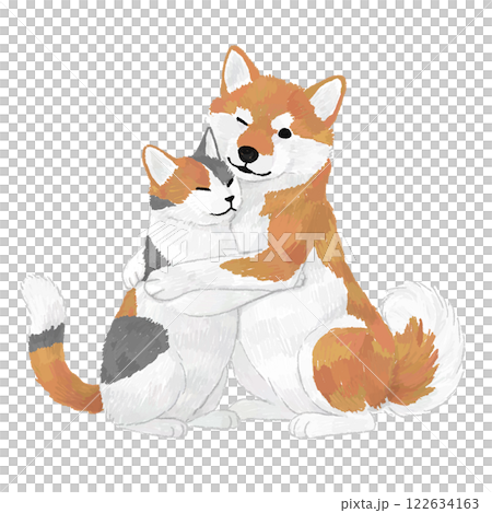 抱き合う柴犬と三毛猫の手書きイラスト 122634163