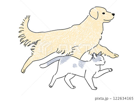 仲の良い犬と猫が並んで歩いている手書きイラスト 122634165