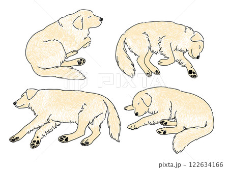 眠っているゴールデンレトリバーの手書きイラストセット 122634166