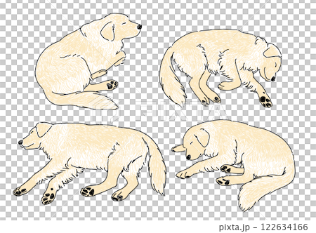手繪插畫集睡覺的黃金獵犬 手繪插畫集睡覺的黃金獵犬 122634166
