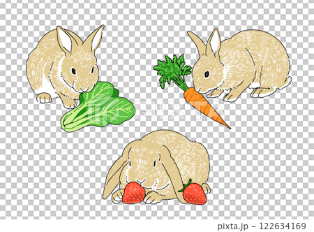 Hand-drawn illustration set of rabbits eating vegetables 122634169