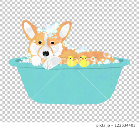 手繪插畫：一隻狗在浴缸裡洗頭 122634403