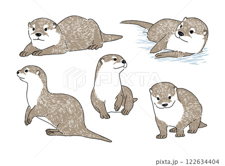 様々なポーズのコツメカワウソの手書きイラストセット 122634404