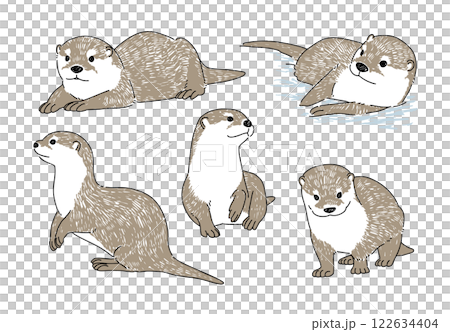 様々なポーズのコツメカワウソの手書きイラストセット 122634404