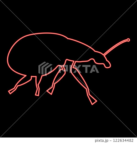 Neon weevil insect pest red color vector illustration image flat style Neon weevil insect pest red color vector illustration image flat style 122634482