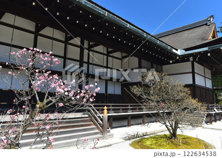 京都御所　御常御殿と紅梅 122634538