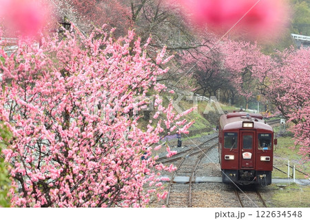 わたらせ渓谷鐵道「神戸駅から見た花桃に包まれた景色」 わたらせ渓谷鐵道「神戸駅から見た花桃に包まれた景色」 122634548