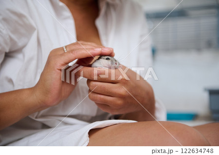 Person Gently Holding a Small Rodent in Their Hands Indoors Person Gently Holding a Small Rodent in Their Hands Indoors 122634748