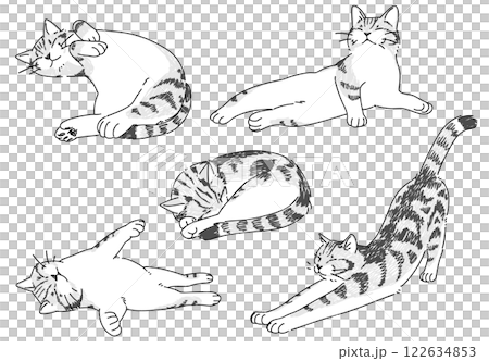 Sleeping cat hand drawn illustration set 122634853