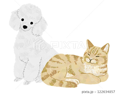 仲良しな犬と猫の手書きイラスト 122634857