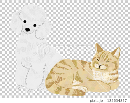 仲良しな犬と猫の手書きイラスト 122634857
