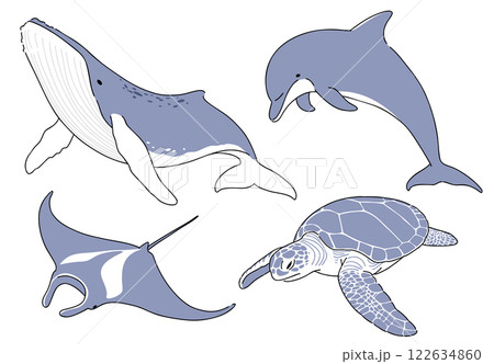 クジラやイルカ、海洋生物たちの手書きイラスト クジラやイルカ、海洋生物たちの手書きイラスト 122634860