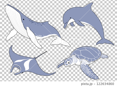 クジラやイルカ、海洋生物たちの手書きイラスト クジラやイルカ、海洋生物たちの手書きイラスト 122634860
