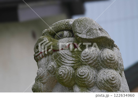 善知鳥神社 善知鳥神社 122634960