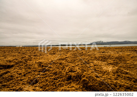 Serene Beach Landscape Under Overcast Skies 122635002