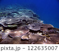 希望が丘ビーチ沖の珊瑚礁(その1) 122635007