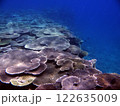 希望が丘ビーチ沖の珊瑚礁(その2) 122635009
