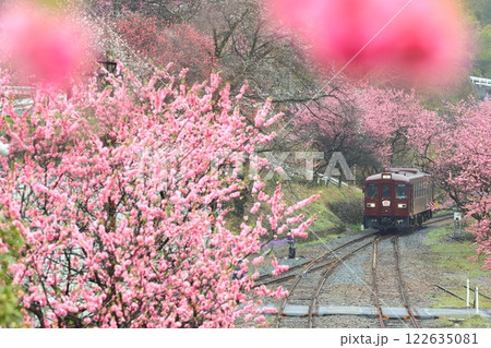わたらせ渓谷鐵道「神戸駅から見た花桃に包まれた景色」 122635081