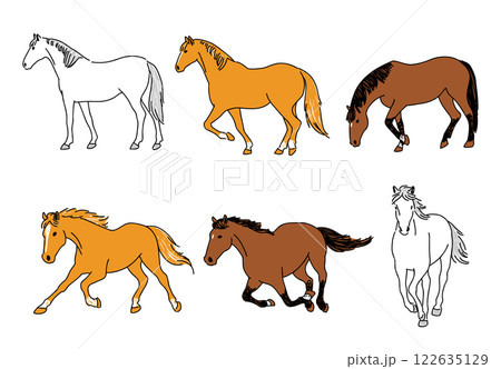 様々なポーズの馬の手描きイラスト 様々なポーズの馬の手描きイラスト 122635129