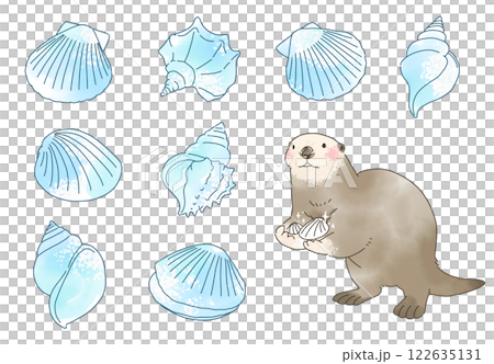 Sea otter and shell watercolor illustration set 122635131