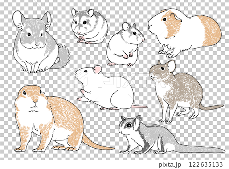 様々な人気のネズミのイラストセット 122635133