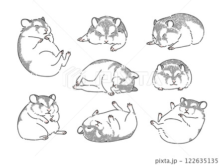 眠っているハムスターの手描きイラストセット 122635135