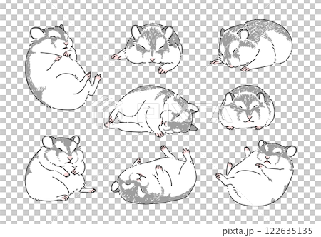 眠っているハムスターの手描きイラストセット 122635135