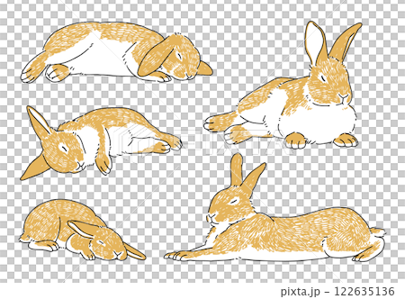 眠っているうさぎの手描きイラストセット 122635136