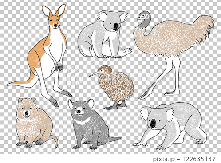 Set of hand drawn illustrations of famous Australian animals Set of hand drawn illustrations of famous Australian animals 122635137