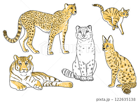 ネコ科の動物たちの手描きイラストセット 122635138