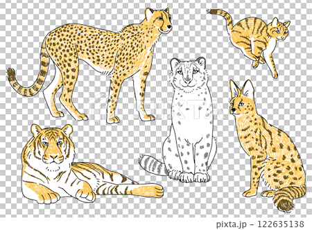 ネコ科の動物たちの手描きイラストセット 122635138