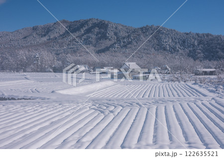 新雪に覆われた水田地帯【長野県】 122635521