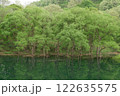 森 122635575