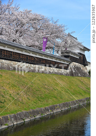 京都　勝竜寺城の桜 122635987
