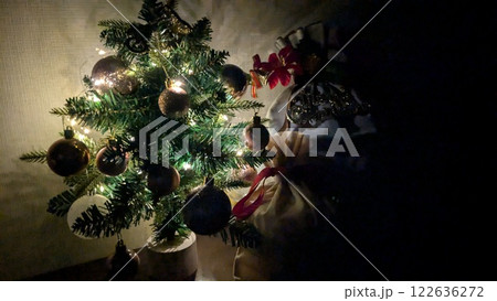 クリスマスツリーのある風景 122636272