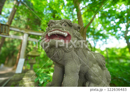 十和田神社 十和田神社 122636483