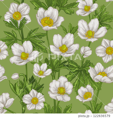 Anemone flowers seamless pattern 2 Anemone flowers seamless pattern 2 122636579